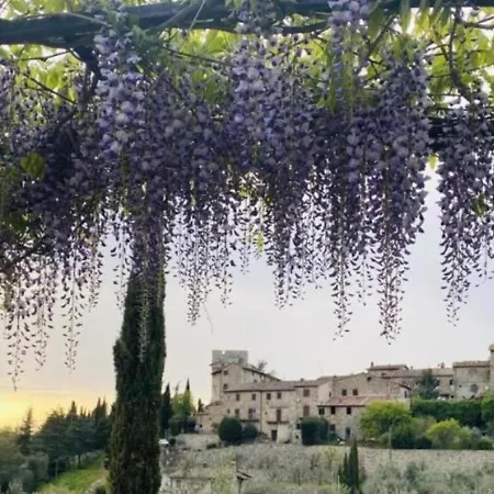 Vertine Countryside * Gaiole in Chianti